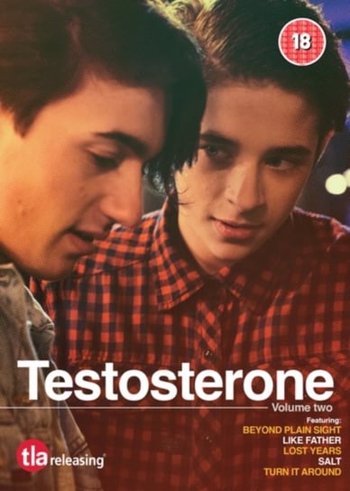 Testosterone: Volume Two (brak polskiej wersji językowej) Bourgonje Niels, Stuart Jason, Beltran Alejandro, Freitas Diego, Adesunloye A. Joseph