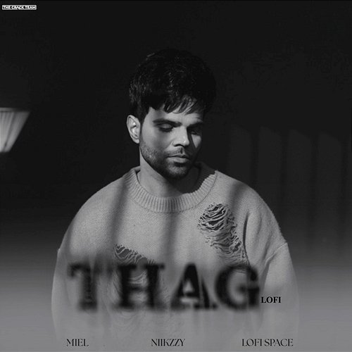 Thag Niikzzy & Lofi Space, Miel