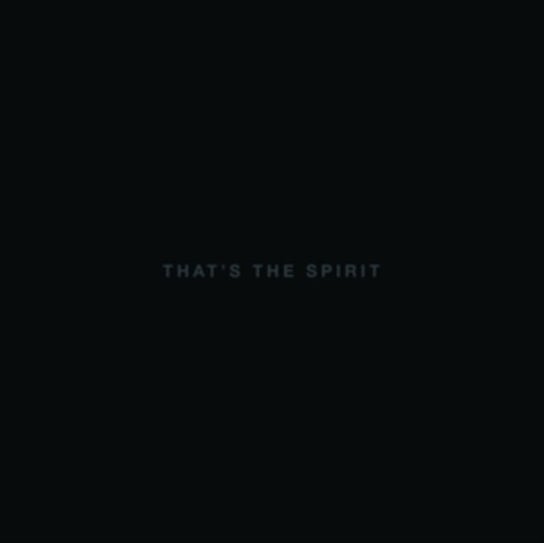That's The Spirit, płyta winylowa Bring Me The Horizon
