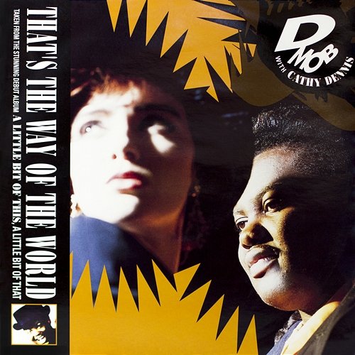 That's The Way of The World D Mob feat. Cathy Dennis