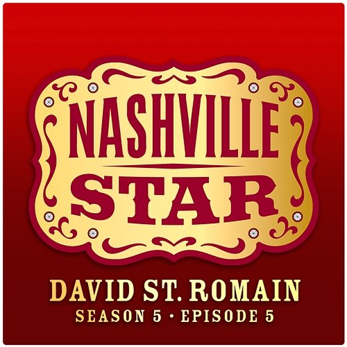 That's Where I Want To Be [Nashville Star Season 5 - Episode 5] David St. Romain