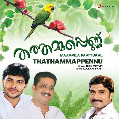 Thathammappennu Afsal, Kollam Shafi, Hema