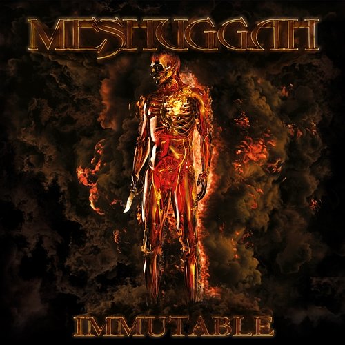 The Abysmal Eye Meshuggah