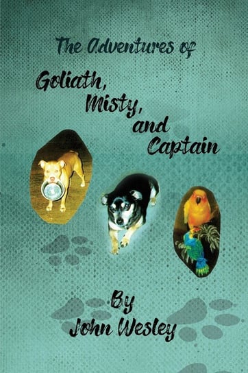 The Adventures of Goliath, Misty, and Captain Wesley John