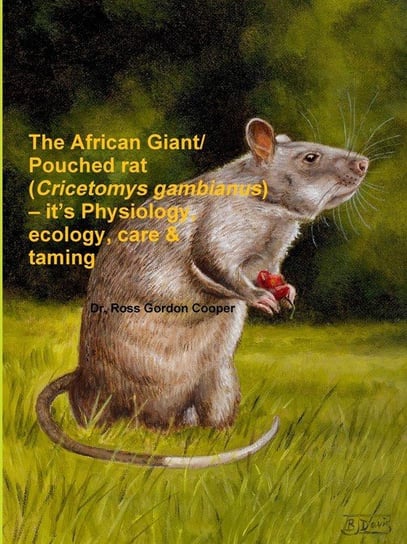 The African Giant/Pouched Rat (Cricetomys Gambianus) - It's Physiology, Ecology, Care & Taming Cooper Ross Gordon