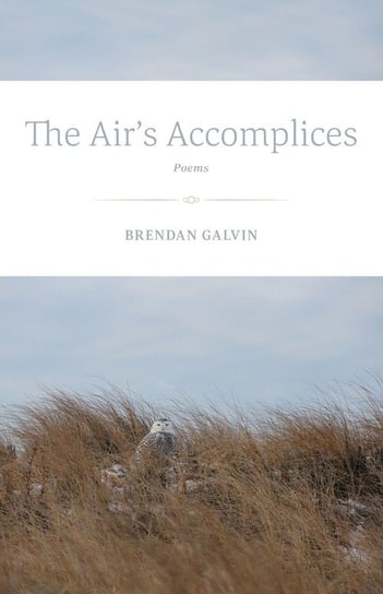 The Air's Accomplices Galvin Brendan