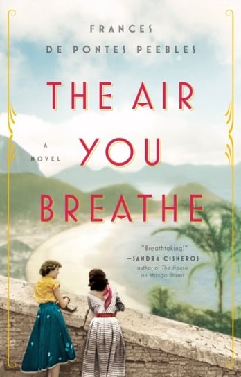 The Air You Breathe: A Novel de Pontes Peebles Frances