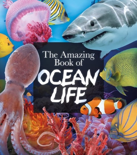 The Amazing Book of Ocean Life Martin Claudia