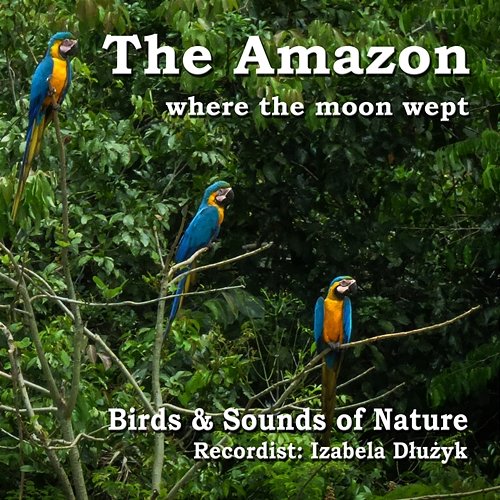 The Amazon - where the moon wept Odgłosy Natury