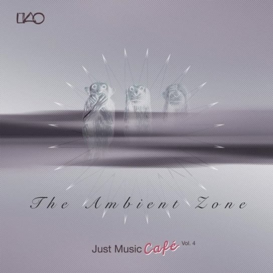 The Ambient Zone Various Artists