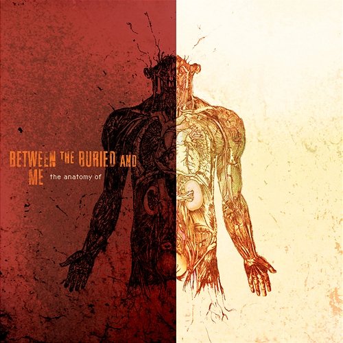 The Anatomy Of Between The Buried And Me