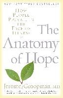 The Anatomy of Hope: How People Prevail in the Face of Illness Groopman Jerome