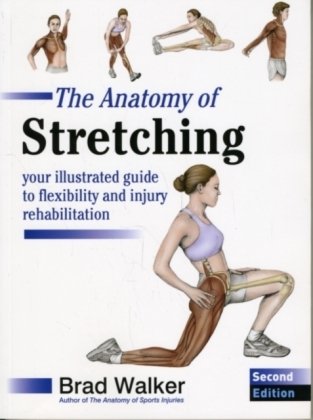 The Anatomy of Stretching Walker Brad