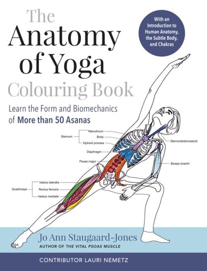 The Anatomy of Yoga Colouring Book: Learn the Form and Biomechanics of More than 50 Asanas Jo Ann Staugaard-Jones