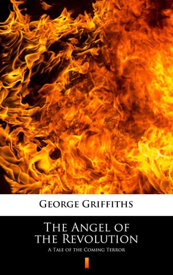 The Angel of the Revolution Griffiths George