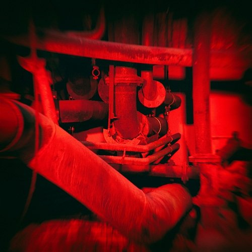 The Angrywit The Tinted Mire