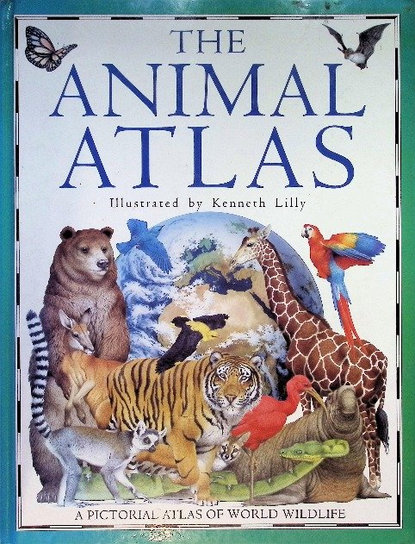 The Animal Atlas - Opracowanie zbiorowe | Książka w Empik