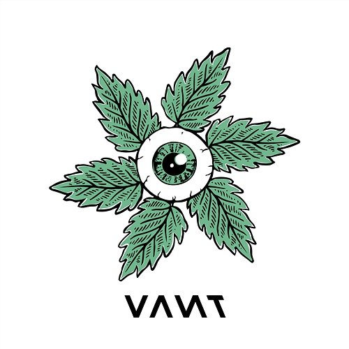 THE ANSWER VANT