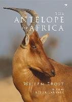 The antelope of Africa Frost Willem