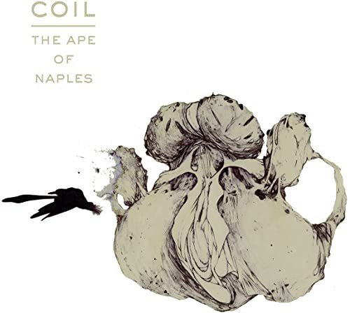 The Ape Of Naples (Limited Edt.) Coil