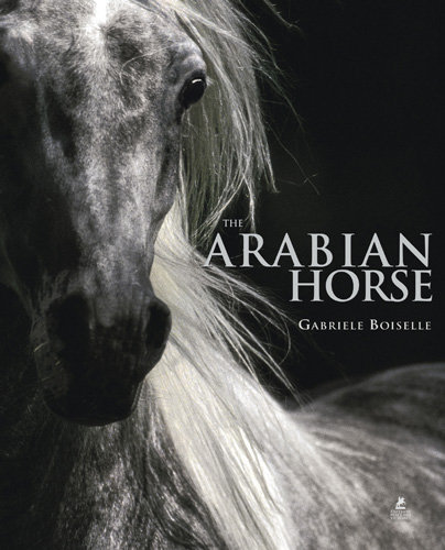 The arabian horse Boiselle Gabriele