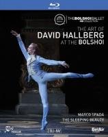 The Art of David Hallberg at the Bolshoi (brak polskiej wersji językowej) 