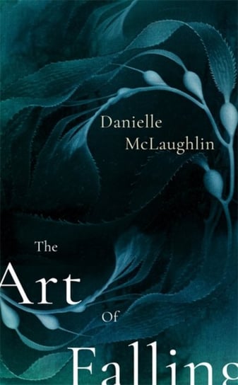 The Art of Falling Danielle McLaughlin
