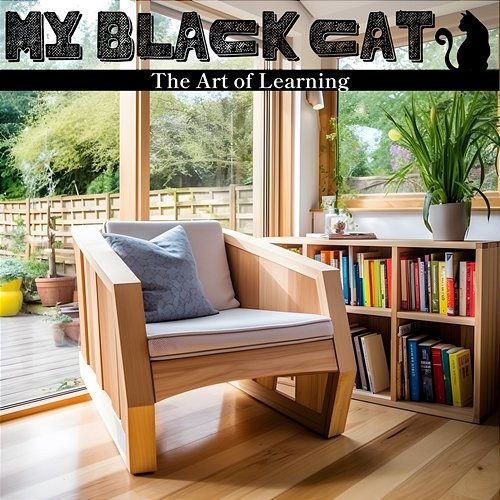 The Art of Learning My Black Cat