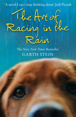 The Art of Racing in the Rain Stein Garth