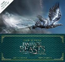 The Art of the Film: Fantastic Beasts and Where to Find Them Power Dermot