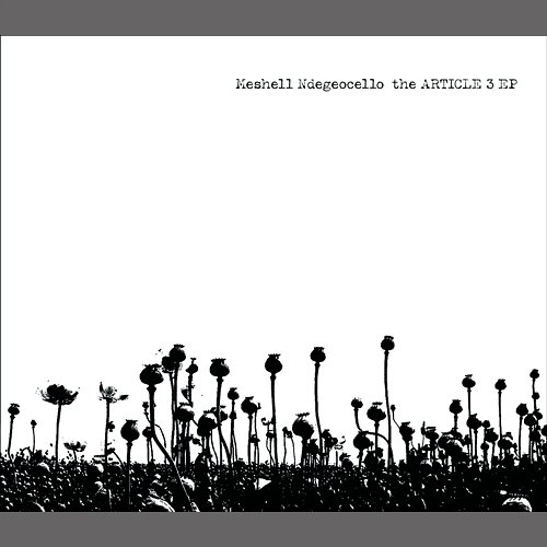 The Article 3 Meshell Ndegeocello