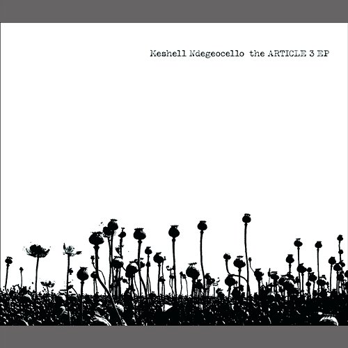 The Article 3 Meshell Ndegeocello