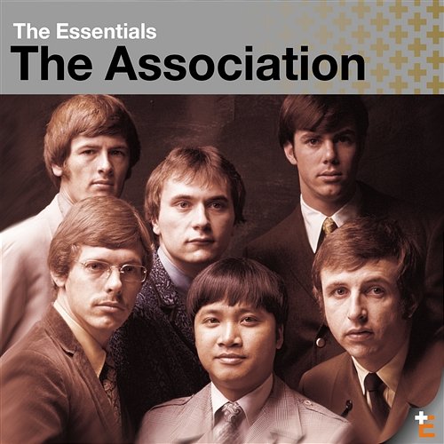 The Assocation: The Essentials The Association