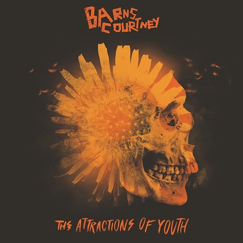 The Attractions Of Youth Barns Courtney