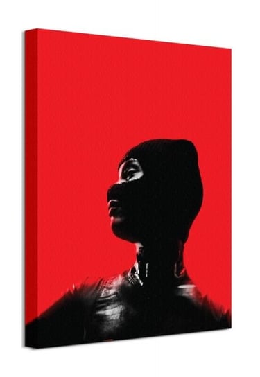 The Batman Catwoman Red - obraz na płótnie Batman