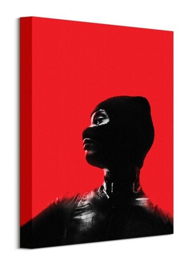The Batman Catwoman Red - obraz na płótnie DC COMICS