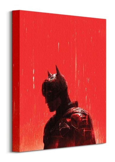 The Batman Rain - obraz na płótnie Batman