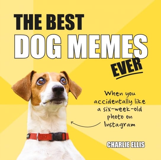 The Best Dog Memes Ever. The Funniest Relatable Memes as Told by Dogs Charlie Ellis