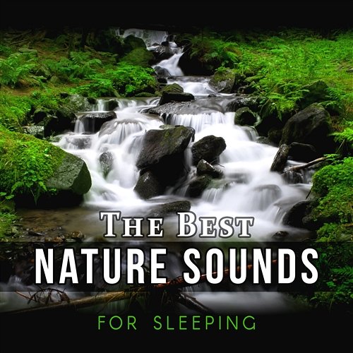 The Best Nature Sounds for Sleeping - Sound Therapy for Relieving Insomnia and Stress Relief, Relaxation Music, Deep Sleep and Meditation Deep Sleep Music Ensemble