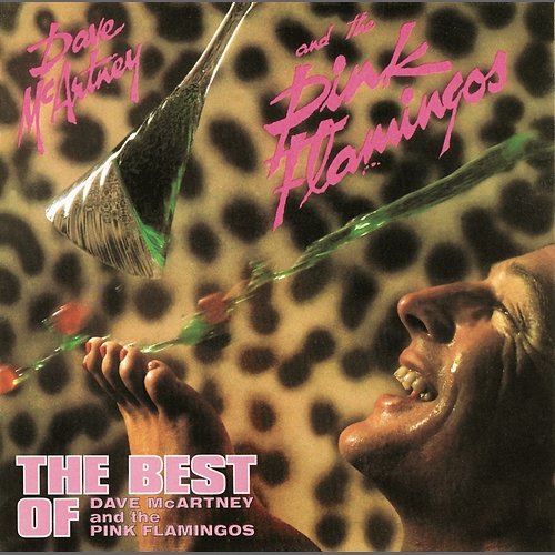 The Best of Dave McArtney and The Pink Flamingos Dave McArtney and The Pink Flamingos