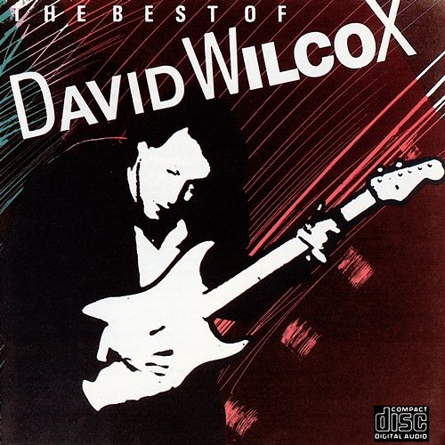 The Best Of David Wilcox David Wilcox
