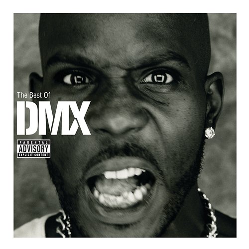 The Best Of DMX DMX