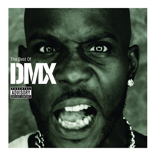 What These Bitches Want DMX