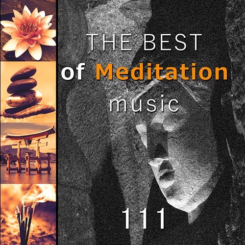 The Best of Meditation Music: 111 Tracks for Zen Relaxation, Nature Sounds for Reiki, Chakra Healing, Yoga & Massage Therapy Mindfullness Meditation World