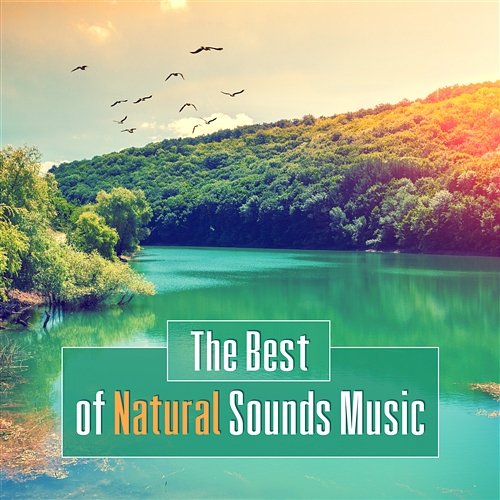 The Best of Natural Sounds Music: Top Collection Voices of Rain Forest, Fire, Ocean Waves, Light Storm, Waterfall, Crickets, Frogs & Owls, Japanese Garden & Wind Nature Collection