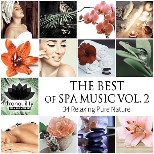 The Best of Spa Music Vol. 2: 34 Relaxing Pure Nature, Total Serenity, Wellness Center Treatment, Massage Therapy, Mindful Rest & Sleep Tranquility Spa Universe