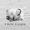 The Best Vintage Selection T-Bone Walker