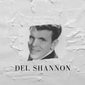 The Best Vintage Selection - Del Shannon Del Shannon