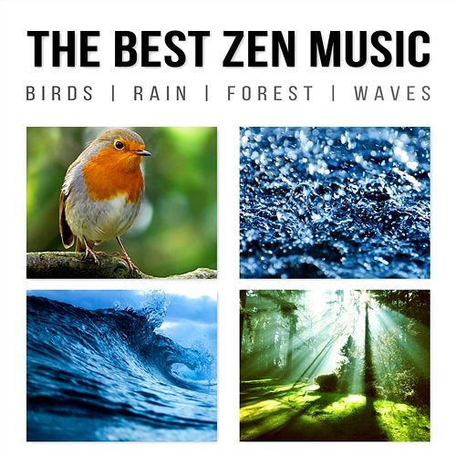 The Best Zen Music: Birds, Rain, Forest, Waves - Music to Help You Relax & Meditate, Sounds of Nature for Yoga, Sleep, Your Mind and Your Soul Zen Spa Music Experts
