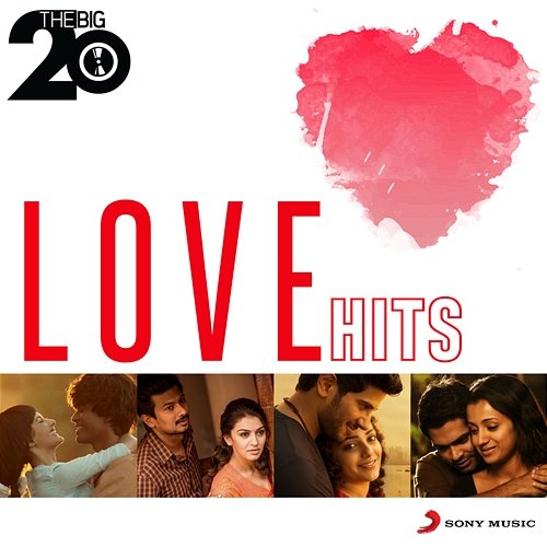 The Big 20 (Love Hits) Various Artists